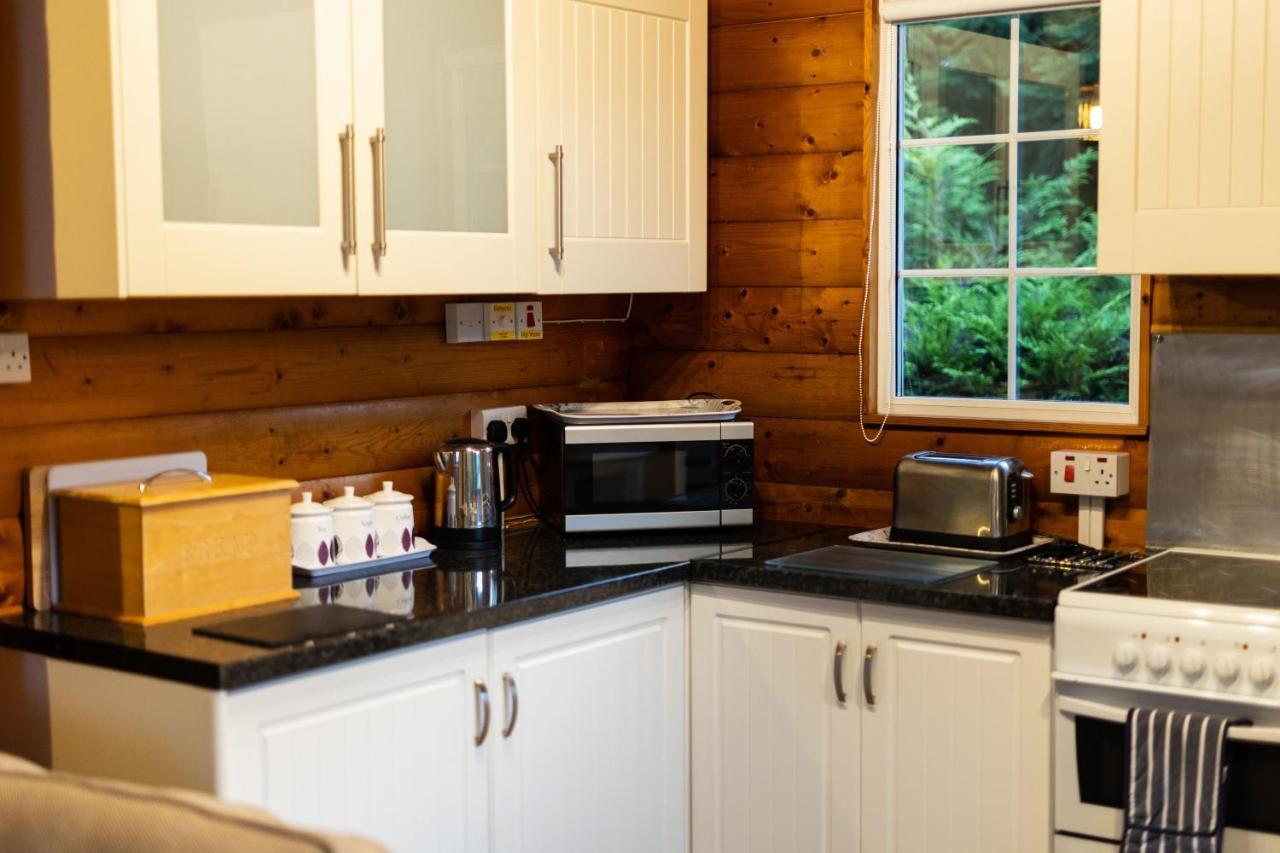Mountain View Log Cabin In Snowdonia Nr Coed Y Brenin Tanygrisiau Esterno foto