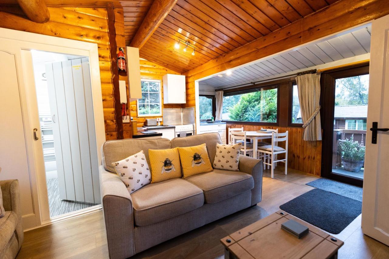 Mountain View Log Cabin In Snowdonia Nr Coed Y Brenin Tanygrisiau Esterno foto