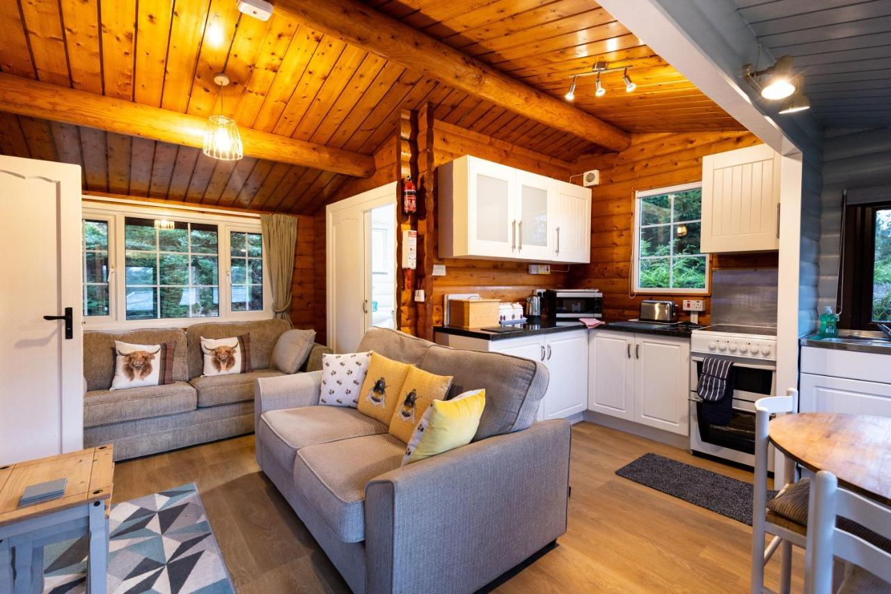 Mountain View Log Cabin In Snowdonia Nr Coed Y Brenin Tanygrisiau Esterno foto